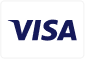 visa icon